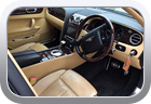 Bentley Continental Flying Spur 2011 headliner replacement - Car Interior