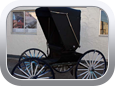 Doctor's Carriage - Car Interior