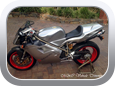 Ducati 916 Senna customized motorcycle seat by M&C Vehicle Trimming