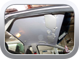 Ford Falcon XR8 2005 - Car Interior