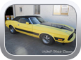 Ford Mustang Shelby 1973 - Car Interior