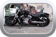 Harley-Davidson VRSC-F 2012