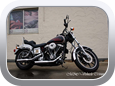 Harley-Davidson Shovelhead 1979