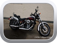 Harley-Davidson Shovelhead 1979