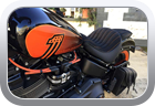 Harley-Davidson Screamin' Eagle 2022 foam adjustments - Motor Bike Seat