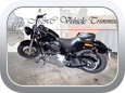 Harley-Davidson FL 2015 'Screamin' Eagle' - Motor Bike Seat