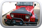Jeep Wrangler 4.0L Sport 2000 car bra - Car Interior
