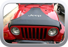 Jeep Wrangler 4.0L Sport 2000 car bra - Car Interior