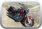 Kawasaki Vulcan 2007 - custom cover