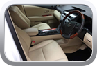 Lexus RX350 2010 leather maintenance - Car Interior