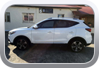 MG ZS 2020 vinyl repair - Car Interior