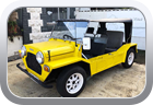 Mini Moke 1988 sun shade - Car Interior
