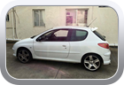Peugeot 206 GTI 180 2005 - Car Interior
