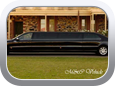 Mercedes-Benz S-Class Stretch Limousine - Car Interior