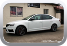 Skoda Octavia RS 245 2019 - Car Interior