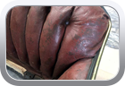 1905 Sulky leather seat restoration - Car Interior