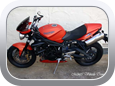 Triumph - Motor Bike Seat