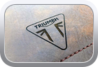 Custom Triumph bar brace cover - Motor Bike Seat