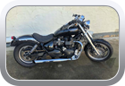 Triumph Bonneville 2009 custom seat upholstery - Motor Bike Seat