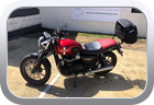 Triumph Street Twin 2017 - Motor Bike Seat